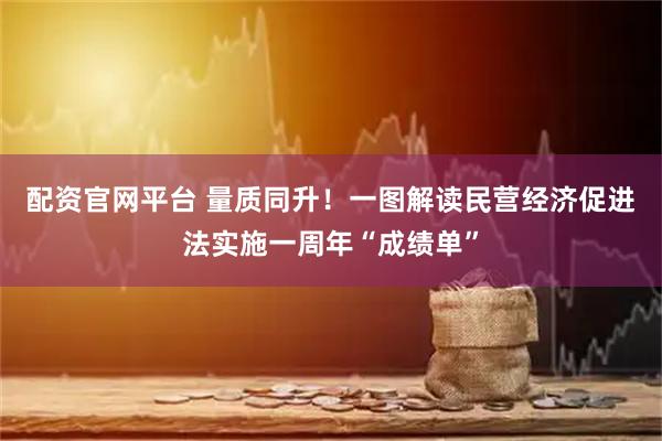 配资官网平台 量质同升！一图解读民营经济促进法实施一周年“成绩单”