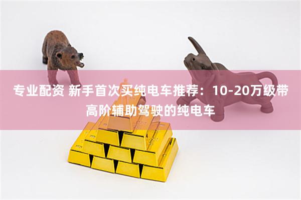 专业配资 新手首次买纯电车推荐：10-20万级带高阶辅助驾驶的纯电车